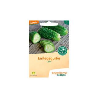 Saat Einlegegurke "Liefje"