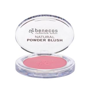 Compact Blush mallow rose