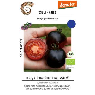 Saat Salattomate "Indigo Rose"