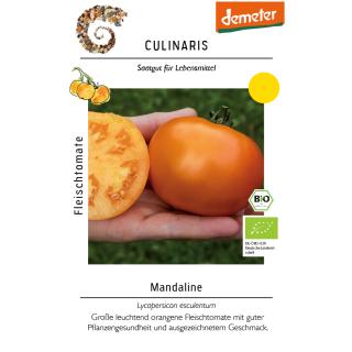 Saat Fleischtomate "Mandaline"