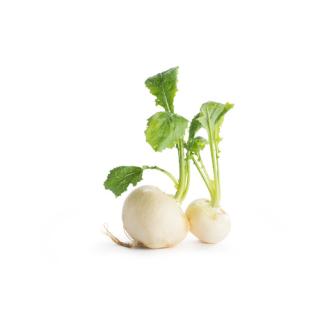 Mairübchen lose