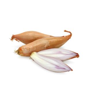 Echalion (Bananenschalotten)