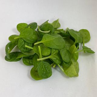 Baby Mangold (Red Chard) Schale