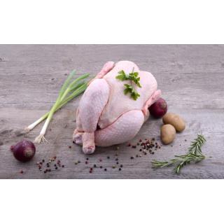 Poularde (ca. 2-2,6 kg)