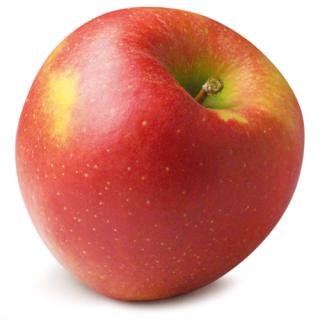 Apfel "Honey Crisp"
