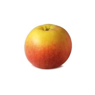 Apfel "Delprivale"