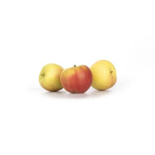 Apfel "Sansa"