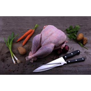 Waldlandpute (ca. 5-6 kg)