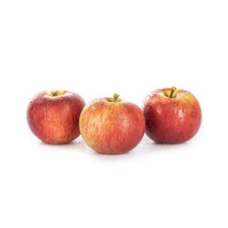 Apfel "Gerlinde"