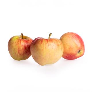 Apfel "Prinz Albert"