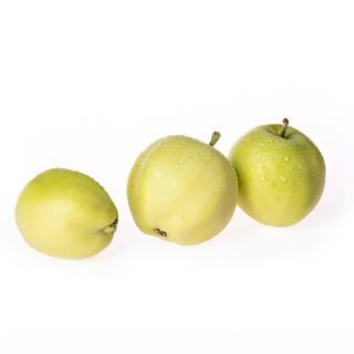 Apfel "Weißer Klarapfel"
