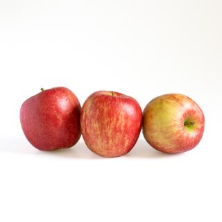 Apfel "Delbarestival"