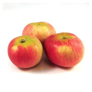 Apfel "Discovery"