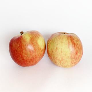 Apfel "Zari"