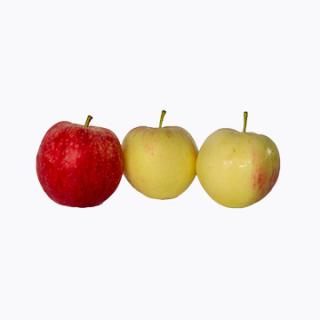 Apfel "Ruhm von Kirchwerder"