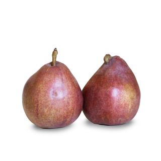 Birne "Red Anjou"