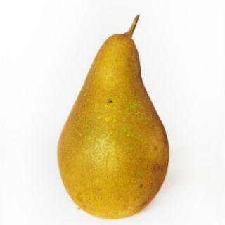 Birne "Uta"