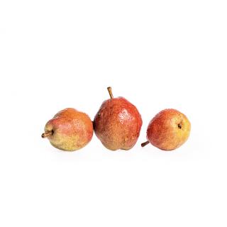 Birne "Williams rot