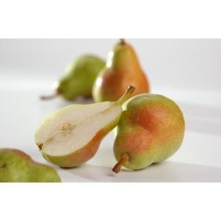 Birne "Golden Russet Bosc"