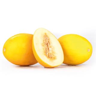 Honigmelone "Canari"