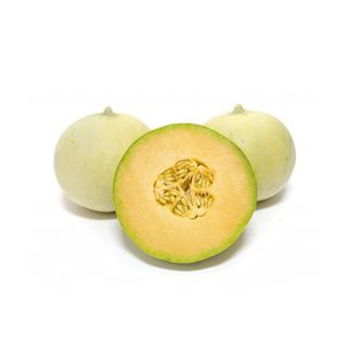 Honigmelone "Honeymoon"