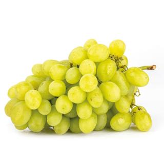 Trauben weiß "Aledo" (Wintertraube)