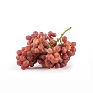 Traube rosé "Muscat"