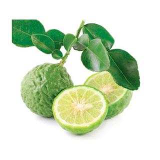 Combava Limette (Kaffirlimette)