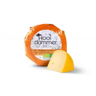 Hooidammer Baby Jersey