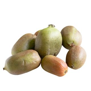 Kiwibeeren (Kiwai)