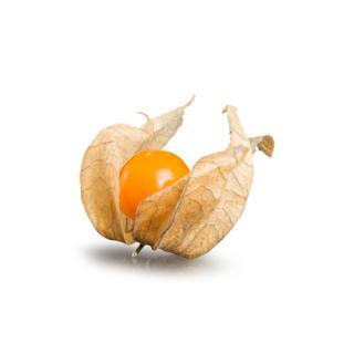 Physalis (Kapstachelbeeren)