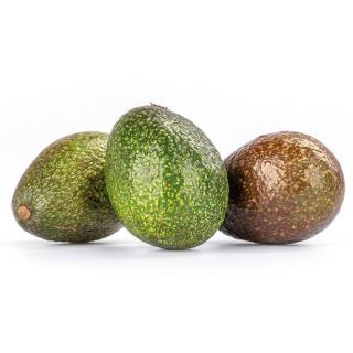 Avocado "Hass", Mini