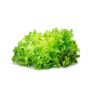 Salat "Frisee"