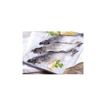 Frische Forelle 1 Stück (ca. 400 g)