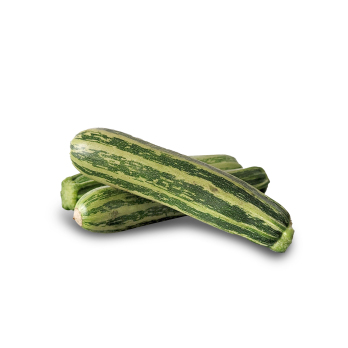 Zucchini gestreift