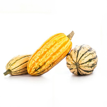 Kürbis Delicata