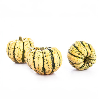 Kürbis Sweet Dumpling