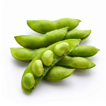 Edamame Sojabohne