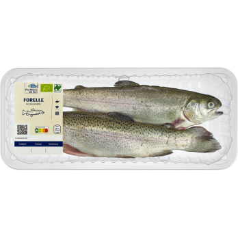 Regenbogenforelle (ca. 300 g)