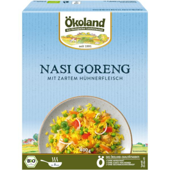 TK Nasi Goreng