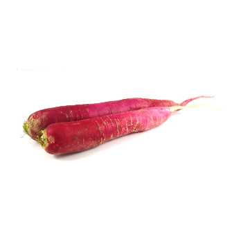 Rettich rot
