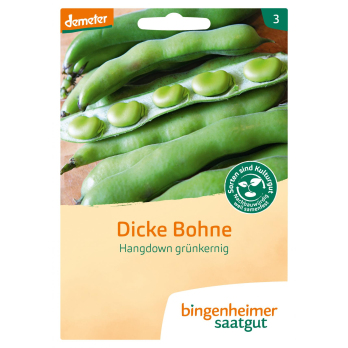 Saat Dicke Bohne "Hangdown grünkernig"