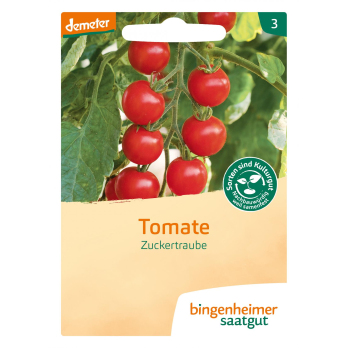 Saat Tomate "Zuckertraube"