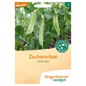 Saat Zuckererbse "Ambrosia"