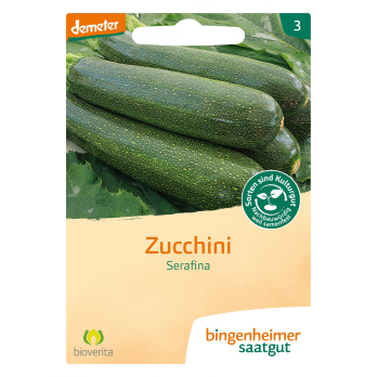 Saat Zucchini "Serafina"