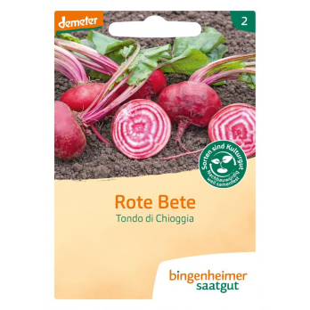 Saat Rote Bete "Tondo di Choggia"