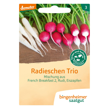 Saat Radieschen Trio