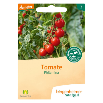 Saat Tomate "Philamina"
