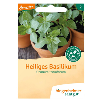 Saat Heiliges Basilikum