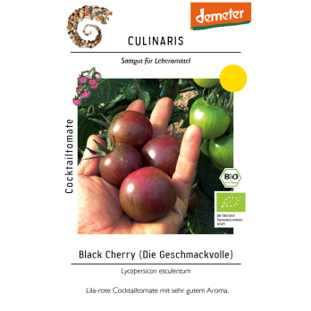 Saat Cocktailtomate "Black Cherry"